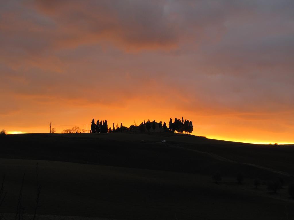Al Piccolo Ulivo, A Casa Di Mimo&Se Villa Castiglione d'Orcia Bagian luar foto